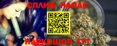 ECSTASY Гай