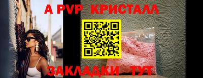 spice Гатчина