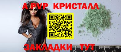 ECSTASY Гай
