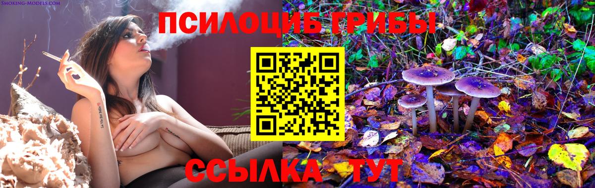 Зима  Псилоцибиновые грибы мицелий  Псилоцибиновые грибы GOLDEN TEACHER  Вход с VPN 